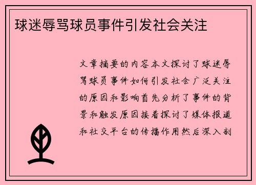 球迷辱骂球员事件引发社会关注